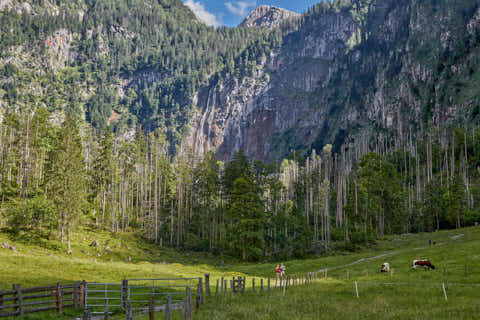 Gemeinde Schönau Landkreis Berchtesgadener_Land Obersee Blick zum Röthbachfall (Dirschl Johann) Deutschland BGL